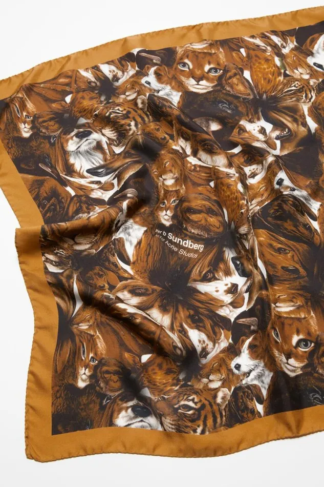 Acne Studios Print Silk Scarf Brown Men Scarves