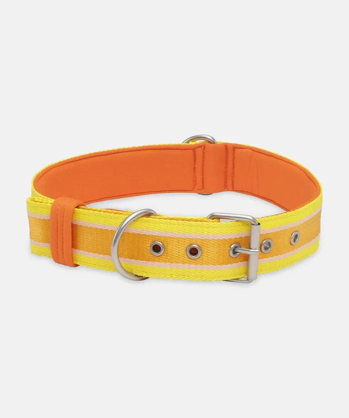 Dog Collar Large 8211 Sunbeam Accessories Ilse Jacobsen Vov and Vuf
