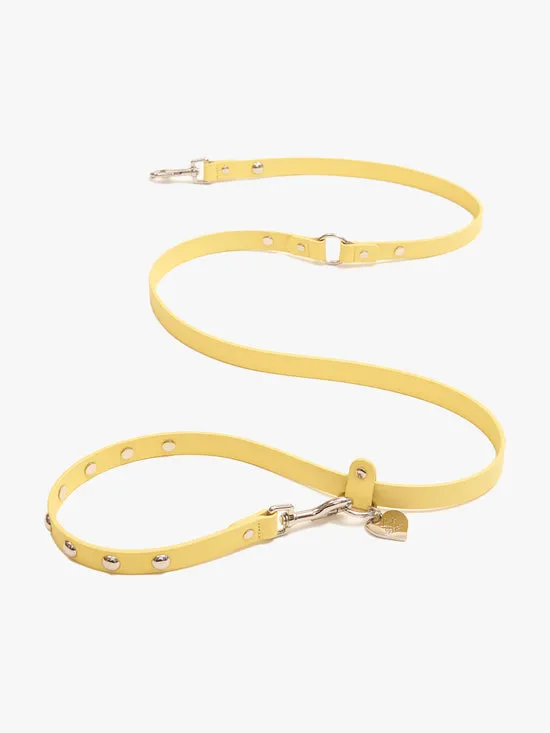 Dog Stud Leash Butter Pet Lisa Says Gah Women