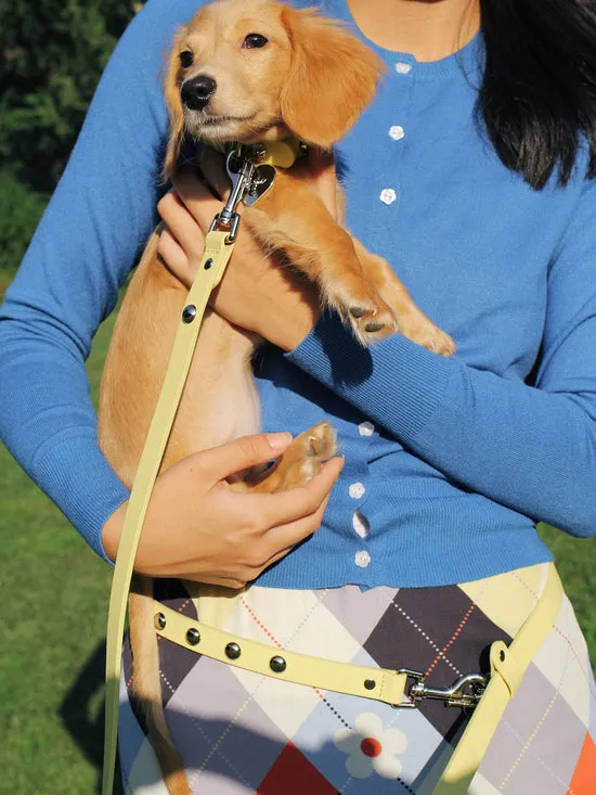 Dog Stud Leash Butter Pet Lisa Says Gah Women