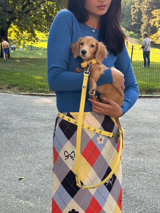 Dog Stud Leash Butter Pet Lisa Says Gah Women