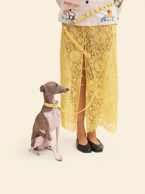 Dog Stud Leash Butter Pet Lisa Says Gah Women