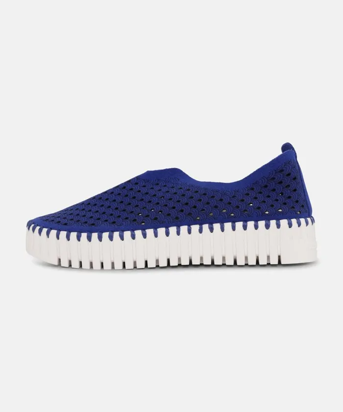 Flats 8211 Blue Web Shoes Ilse Jacobsen Tulip Flats