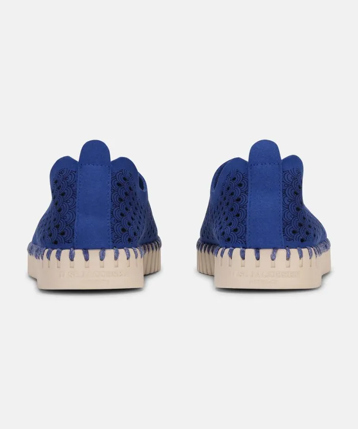 Flats 8211 Blue Web Shoes Ilse Jacobsen Tulip Flats