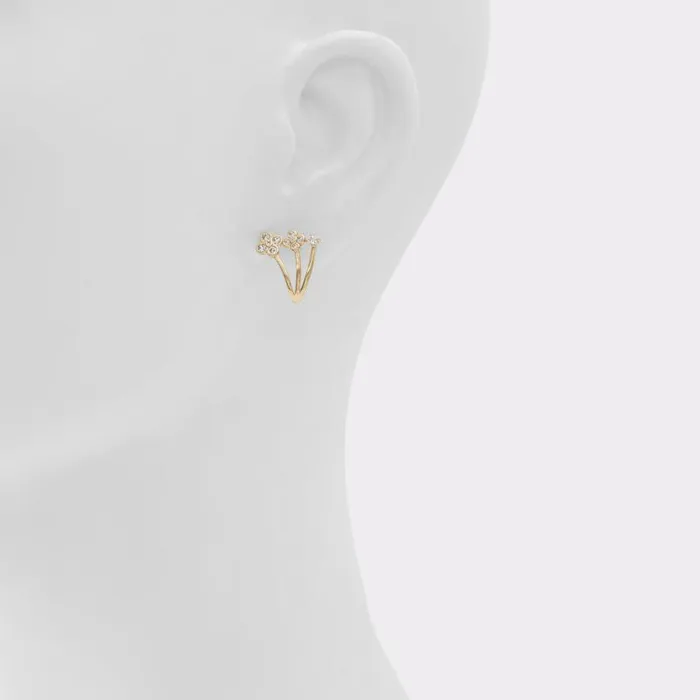 Jewelry Women ALDO Asieweth Earrings