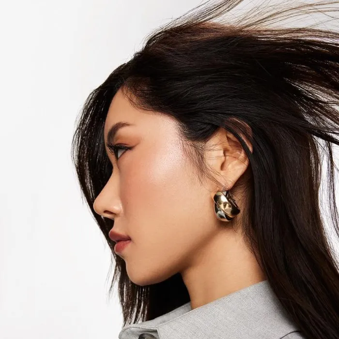 Jewelry Women ALDO Belsay Hoop Earrings