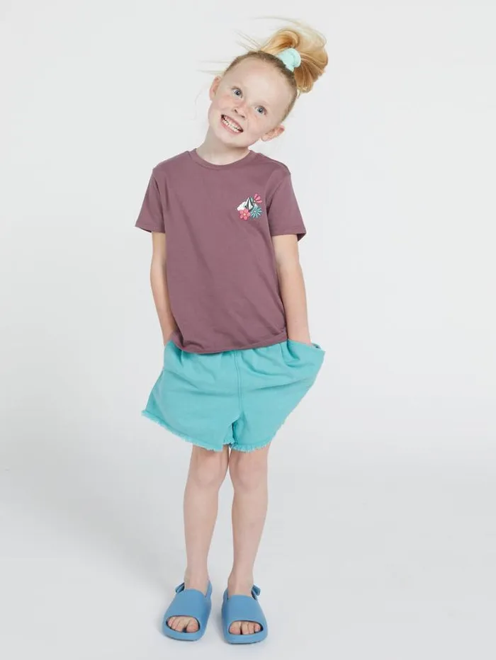 Kids TShirts and Tanks Volcom Girls Last Party Tee 8211 Acai