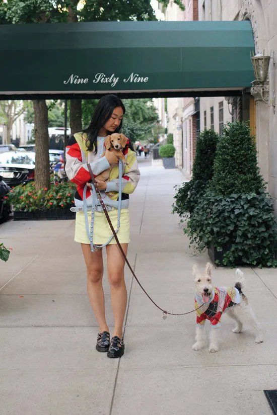 Lauda Cardi Cirque Argyle Women Pet Lisa Says Gah