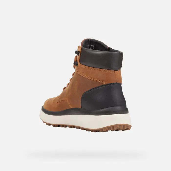 Man Geox Ankle Boots GRANITO GRIP ABX MAN OchreBlack Waterproof Boots Ochreblack