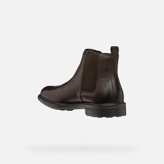Man Geox Ankle Boots WALK PLEASURE MAN Coffee Chelsea Boots Coffee