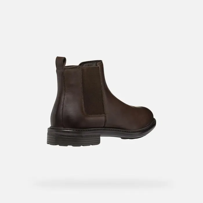 Man Geox Ankle Boots WALK PLEASURE MAN Coffee Chelsea Boots Coffee
