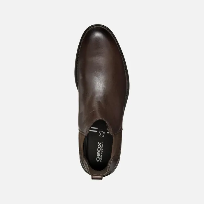 Man Geox Ankle Boots WALK PLEASURE MAN Coffee Chelsea Boots Coffee