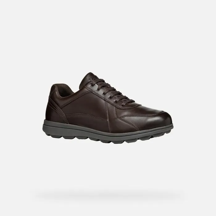 Man Geox Casual Shoes SPHERICA EC12 Men039s Coffee Leather Sneakers Geox Coffee
