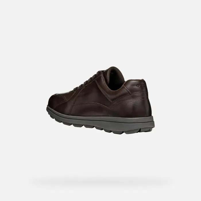 Man Geox Casual Shoes SPHERICA EC12 Men039s Coffee Leather Sneakers Geox Coffee