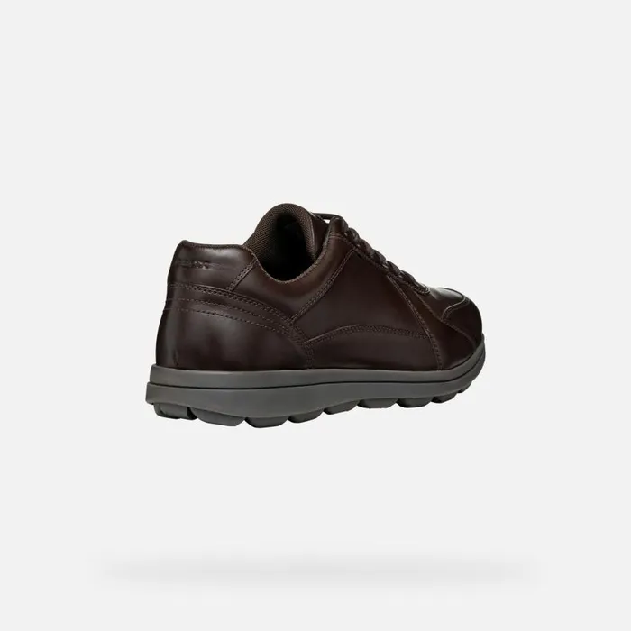Man Geox Casual Shoes SPHERICA EC12 Men039s Coffee Leather Sneakers Geox Coffee