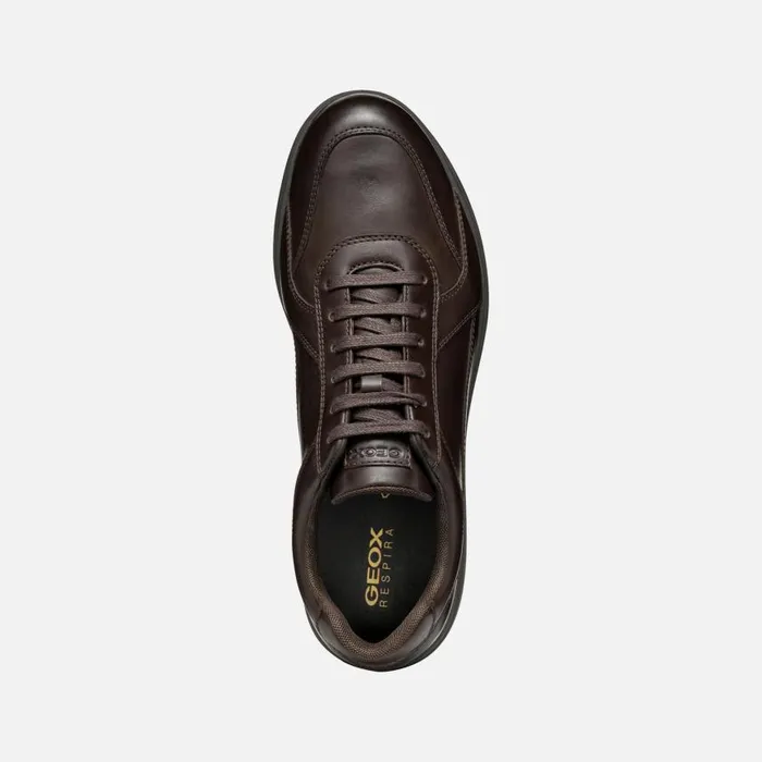 Man Geox Casual Shoes SPHERICA EC12 Men039s Coffee Leather Sneakers Geox Coffee