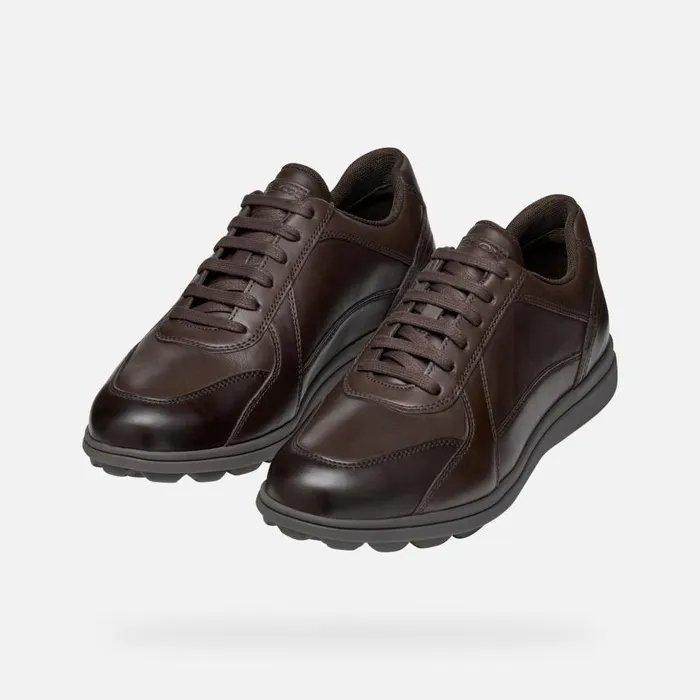 Man Geox Casual Shoes SPHERICA EC12 Men039s Coffee Leather Sneakers Geox Coffee