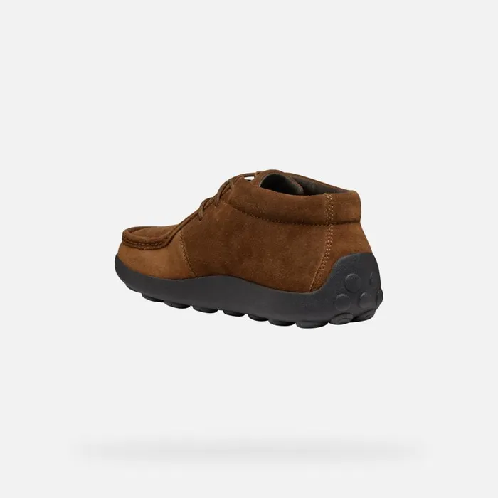 Man Geox Casual Shoes SPHERICA EC14 MAN Brown Cotto Suede Loafers Brown Cotto