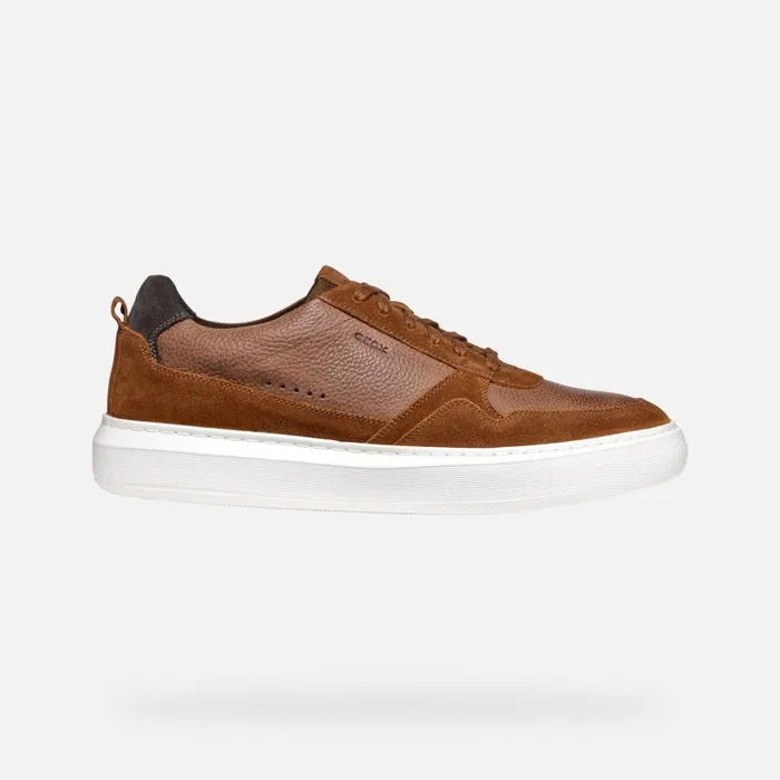 Man Geox Sneakers DEIVEN MAN Brown Cotto Low Top Sneakers Brown Cotto