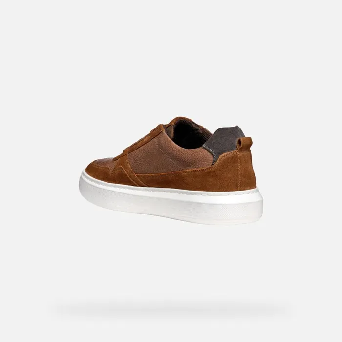 Man Geox Sneakers DEIVEN MAN Brown Cotto Low Top Sneakers Brown Cotto