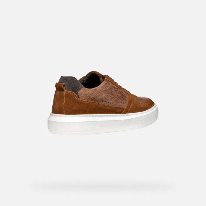 Man Geox Sneakers DEIVEN MAN Brown Cotto Low Top Sneakers Brown Cotto