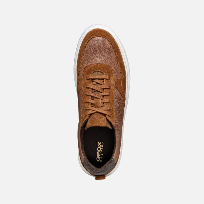Man Geox Sneakers DEIVEN MAN Brown Cotto Low Top Sneakers Brown Cotto