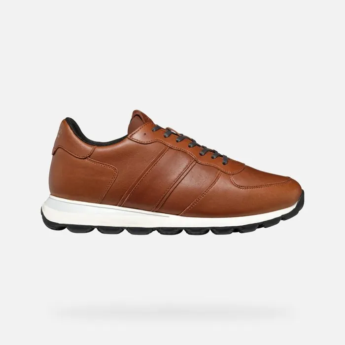 Man Geox Sneakers SPHERICA VSERIES MAN Light Brown Low Top Sneakers Light Brown