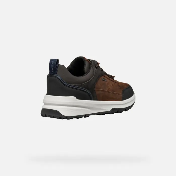 Man Geox Sneakers STERRATRAIL GRIP ABX MAN Coffee Waterproof Trainers Coffee