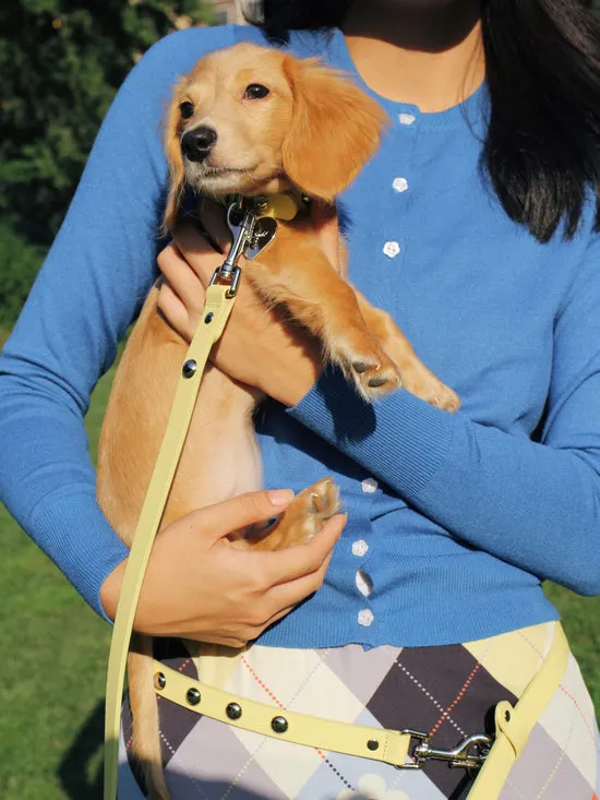 Pet Erin Cardigan Cobalt Lisa Says Gah Women