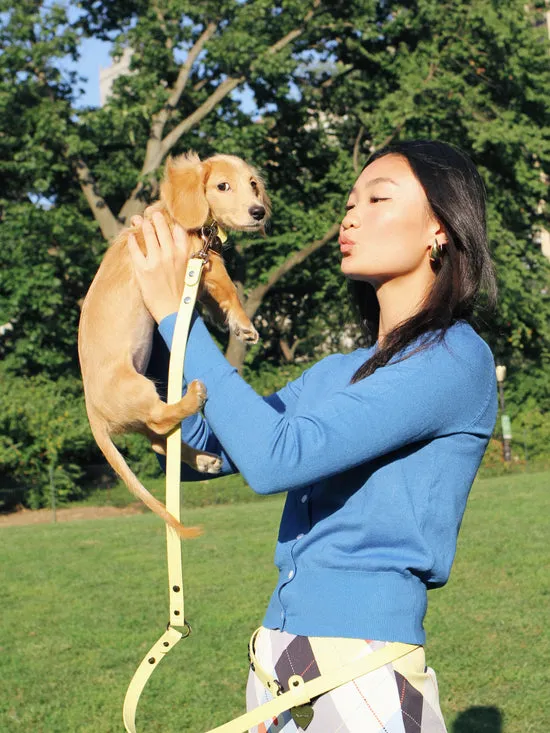 Pet Erin Cardigan Cobalt Lisa Says Gah Women