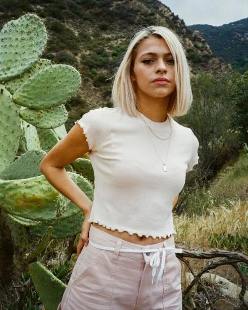 Rvca Classmate Crop Tee Blush Women Tees and Tanks