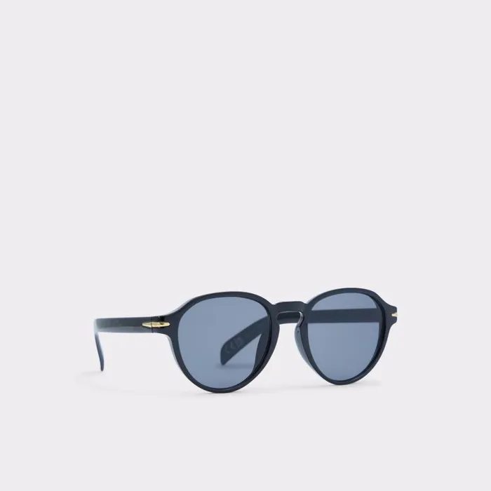 Sunglasses Men ALDO Galog Round Sunglasses