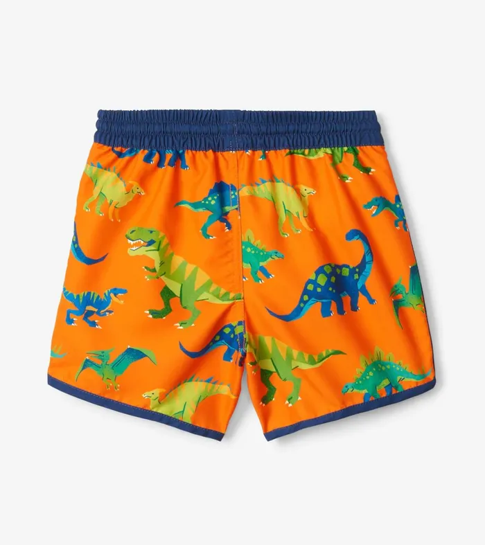 Swimwear Boys Hatley Colourblock Dino Swim Shorts