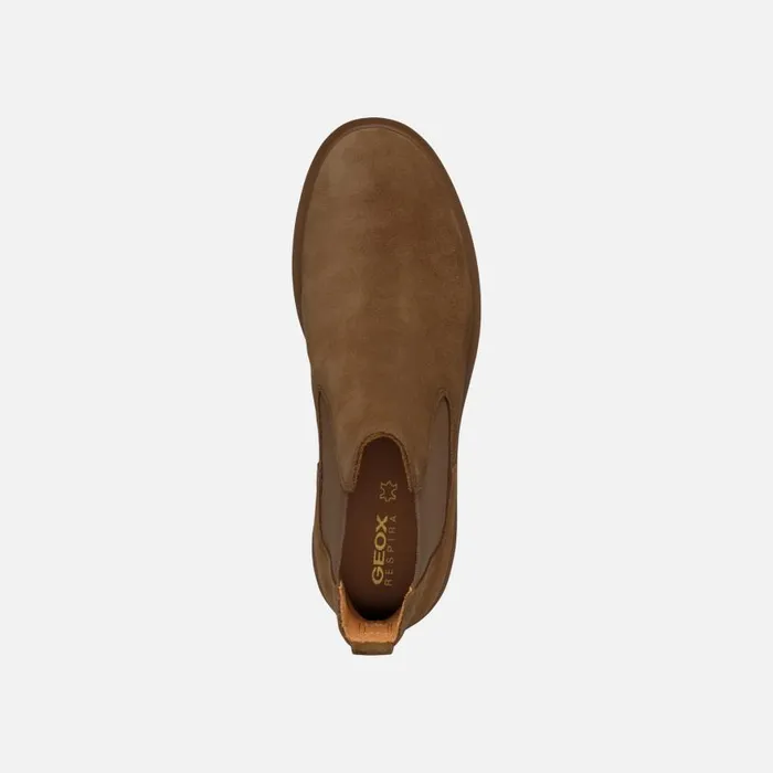 Woman Geox Ankle Boots SPHERICA EC1 WOMAN Mud Chelsea Boots Mud