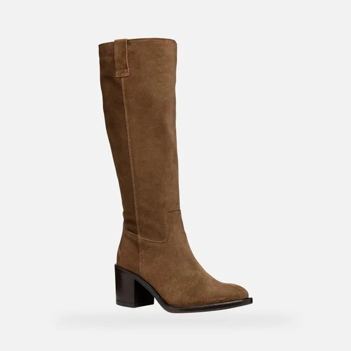 Woman Geox Boots FARNIA WOMAN Mud