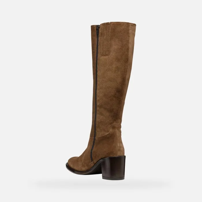 Woman Geox Boots FARNIA WOMAN Mud