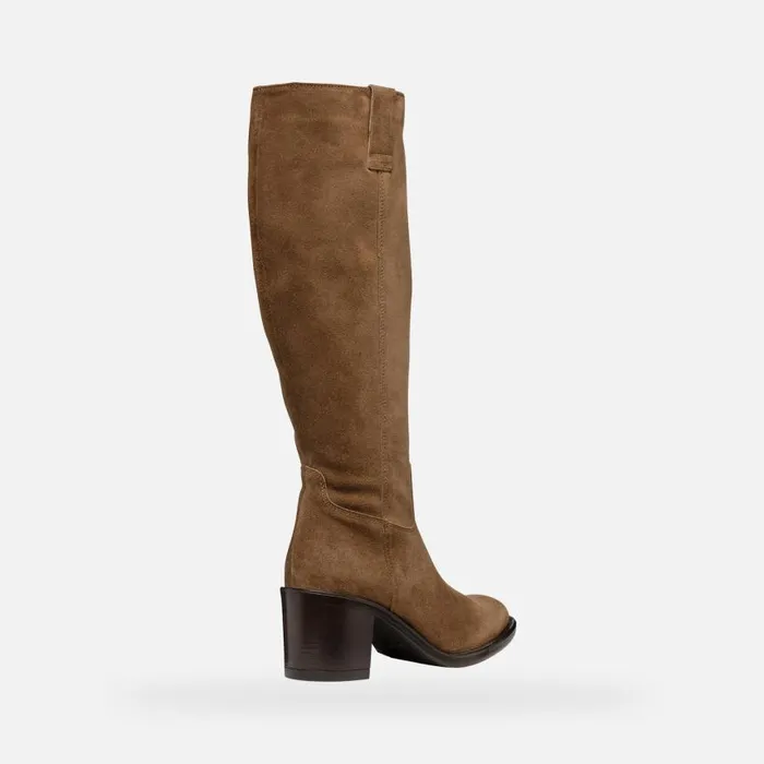 Woman Geox Boots FARNIA WOMAN Mud