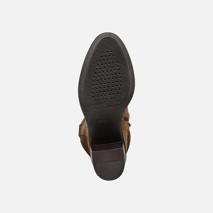 Woman Geox Boots FARNIA WOMAN Mud