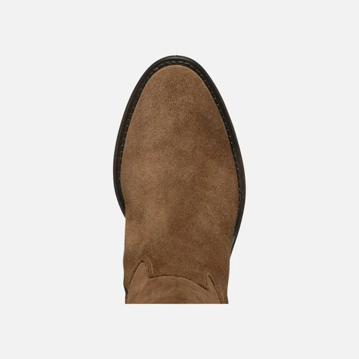 Woman Geox Boots FARNIA WOMAN Mud
