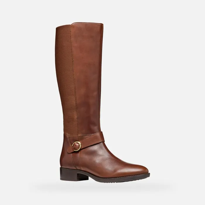 Woman Geox Boots FELICITY WOMAN Brown Leather Boots Brown