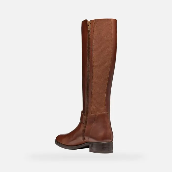 Woman Geox Boots FELICITY WOMAN Brown Leather Boots Brown