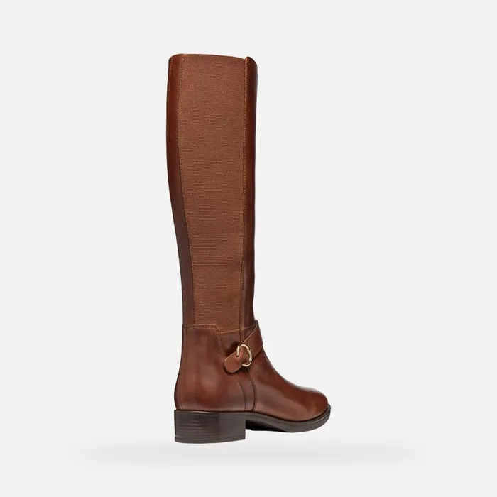 Woman Geox Boots FELICITY WOMAN Brown Leather Boots Brown