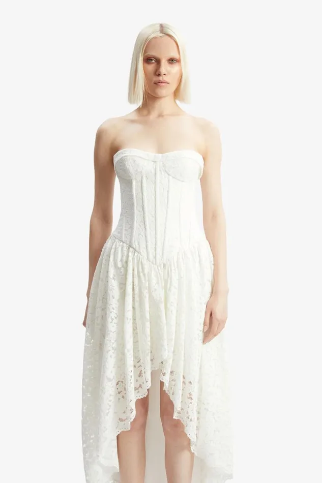 Women Day To Night Dresses Bardot Felicidad Strapless Lace Dress In Orchid White Orchid White