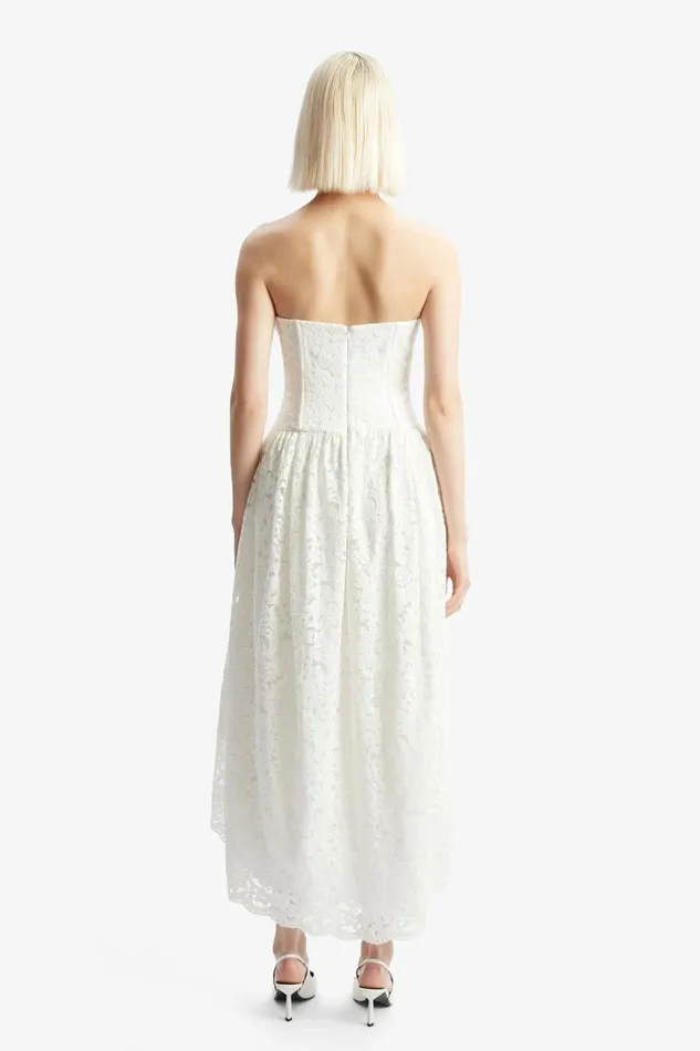 Women Day To Night Dresses Bardot Felicidad Strapless Lace Dress In Orchid White Orchid White