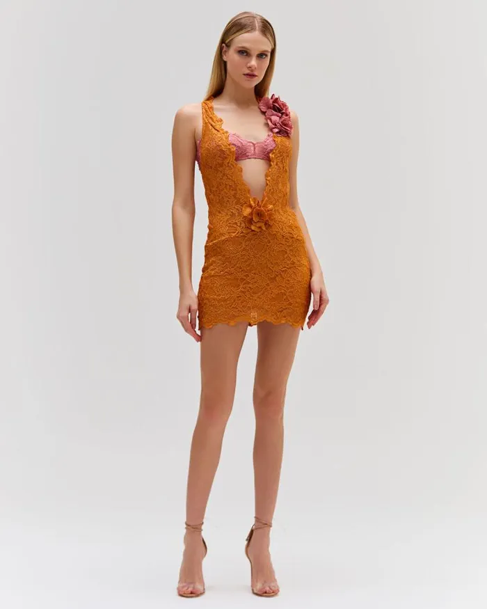 Women Dresses and Jumpsuits PatBO PLUNGE LACE MINI DRESS EXCLUSIVE Tangerine
