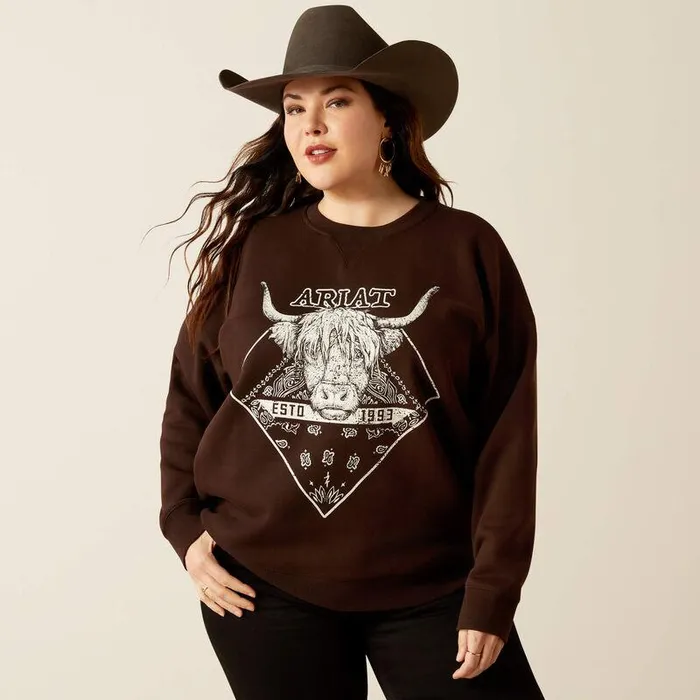 Women Sweatshirts and Hoodies Ariat Taurus Oversized Crew Sweatshirt Mole Women Sweatshirts and Hoodies Ariat Taurus Oversized Crew Sweatshirt Mole