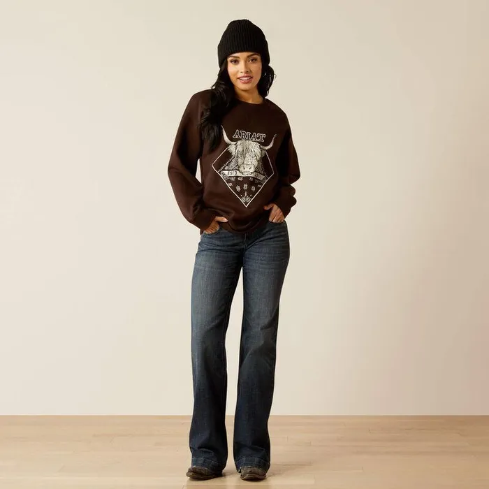 Women Sweatshirts and Hoodies Ariat Taurus Oversized Crew Sweatshirt Mole Women Sweatshirts and Hoodies Ariat Taurus Oversized Crew Sweatshirt Mole