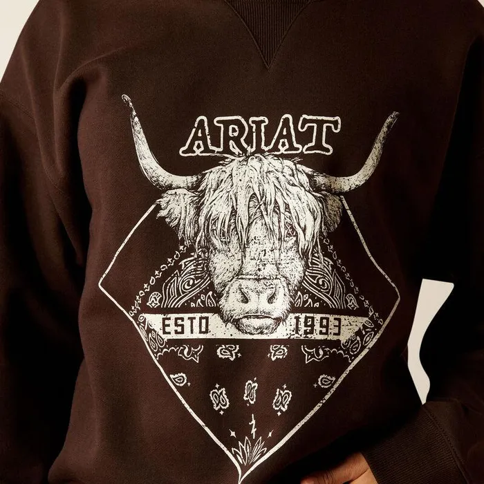 Women Sweatshirts and Hoodies Ariat Taurus Oversized Crew Sweatshirt Mole Women Sweatshirts and Hoodies Ariat Taurus Oversized Crew Sweatshirt Mole